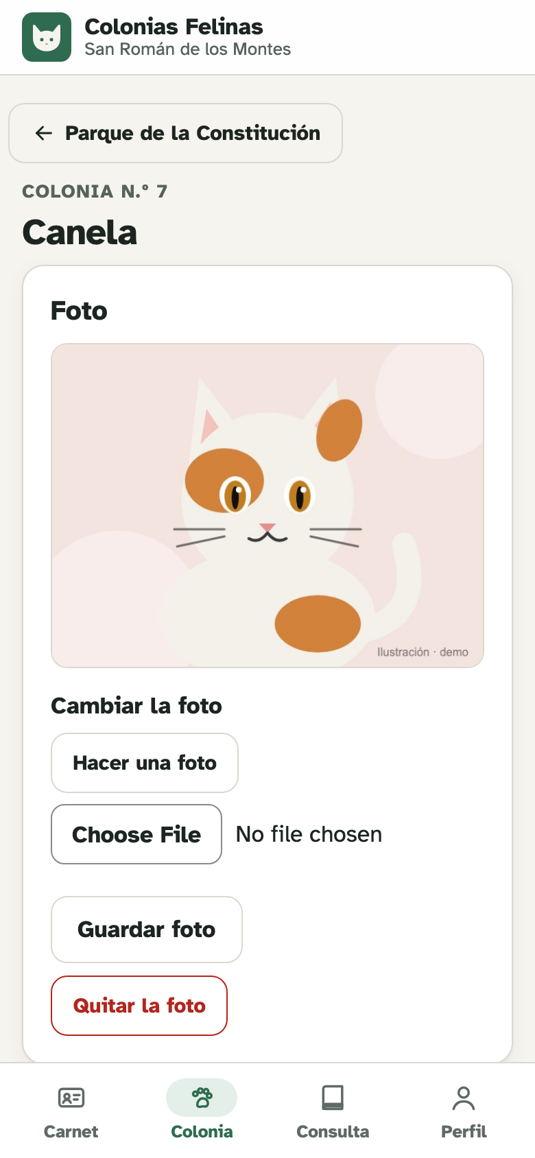 Ficha de un gato